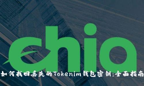 如何找回丢失的Tokenim钱包密钥：全面指南