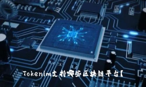 Tokenim支持哪些区块链平台？