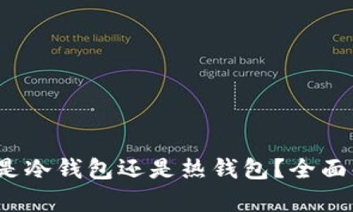 Web3钱包是冷钱包还是热钱包？全面解析与比较