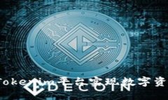 如何用Tokenim平台实现数字