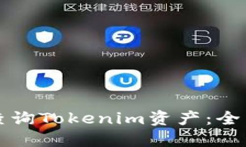 如何查询Tokenim资产：全面指南