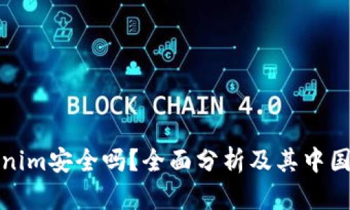 Tokenim安全吗？全面分析及其中国背景