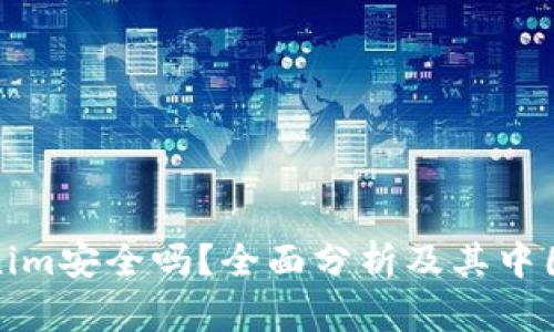 Tokenim安全吗？全面分析及其中国背景