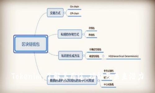 Tokenim：了解其用途、功能及未来潜力