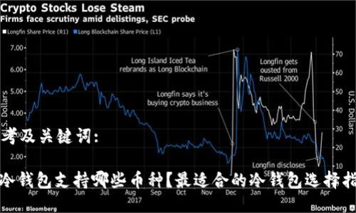 思考及关键词:

: 冷钱包支持哪些币种？最适合的冷钱包选择指南