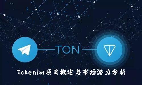 Tokenim项目概述与市场潜力分析