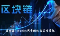 什么是Tokenim代币授权及其重要性