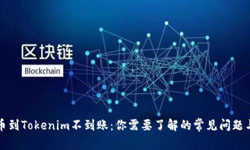 从火币提币到Tokenim不到账：你需要了解的常见问题与解决方案