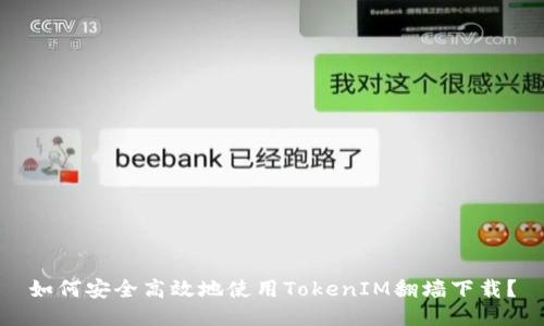 如何安全高效地使用TokenIM翻墙下载？