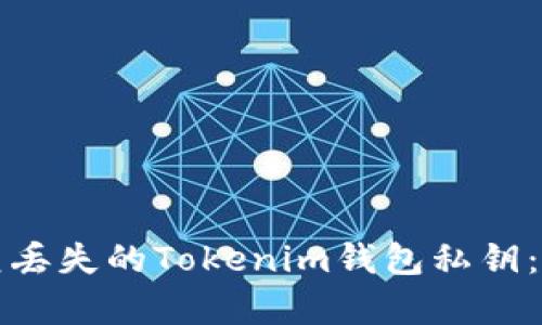 如何恢复丢失的Tokenim钱包私钥：全面指南