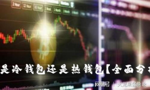  比特派是冷钱包还是热钱包？全面分析与推荐