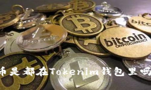 空投的代币是都在Tokenim钱包里吗？全面解析