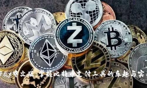 BitPay中文版：掌握比特币支付工具的乐趣与实用性