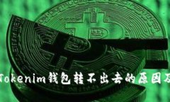 以太币在Tokenim钱包转不出去的原因及解决方案