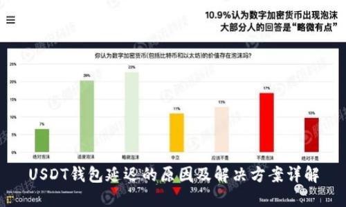 USDT钱包延迟的原因及解决方案详解