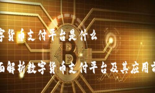 数字货币支付平台是什么

全面解析数字货币支付平台及其应用前景