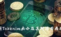 全面解析Tokenim大小及其对