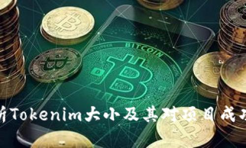 全面解析Tokenim大小及其对项目成功的影响