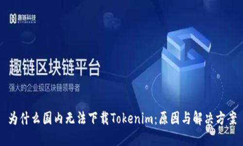 为什么国内无法下载Tokenim：原因与解决方案