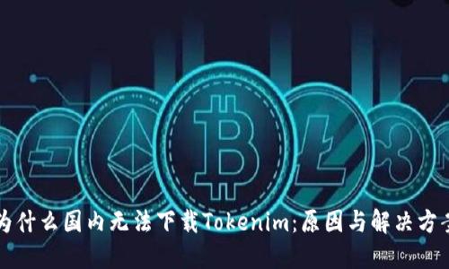 为什么国内无法下载Tokenim：原因与解决方案