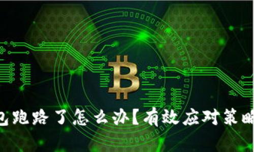 Tokenim钱包跑路了怎么办？有效应对策略与解决方案