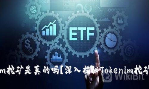 Tokenim挖矿是真的吗？深入揭秘Tokenim挖矿的真相